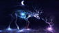 General 1920x1080 deer crescent moon glowing animals artwork night ripples antlers