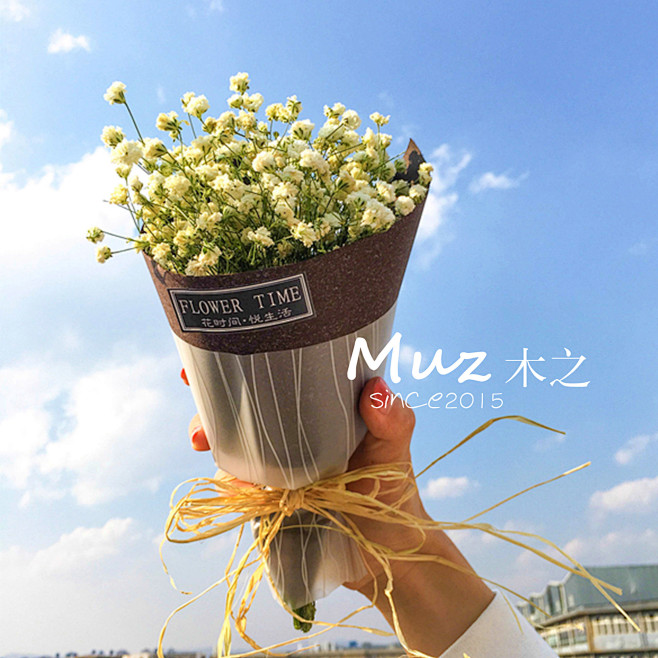 勿忘我满天星情人草干花保鲜花永生花花束情...