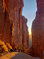 This may contain: two people are sitting on the edge of a cliff and looking at the sunset in the distance