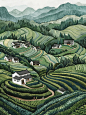 momo插画|茶园 - 小红书
