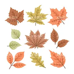 叶子   - 源文件下载【酷图网】叶子,树叶,植物,卡通,简单,各种叶子,叶子形状,叶子颜色,叶片,手绘,插图,插画