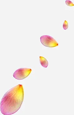 彩色花瓣png免抠素材_新图网 https://ixintu.com 花瓣 动感 情人节背景 浪漫情人节 情人节 贺卡 七夕情人节