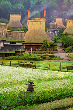 被花瓣认为我是机器人采集到场景--森林山海