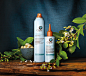 Estee Lauder // Ojon : Re-branding and relaunch of hair care brand Ojon (Estee Lauder).