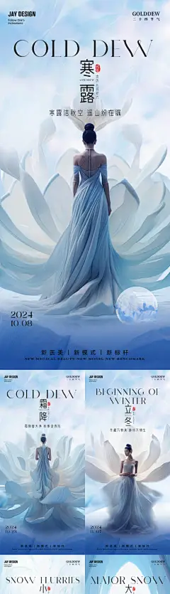 编号：63980026147331564【享设计】源文件下载-医美寒露立冬霜降小雪大雪节气系列海报