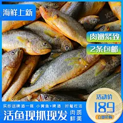 小黄鱼主图 【酷图网】淘宝主图,电商主图,天猫主图,京东主图,主图,拼多多主图,主图模板,厂家直销,直通车主图,淘宝界面设计,淘宝装修模板,小黄鱼海报,小黄鱼促销,大黄鱼主图,大黄鱼海报,大黄鱼促销