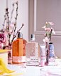 L'OCCITANE en Provence (@loccitane)的ins主页 · Tofo · Instagram网页版/好用的ins浏览器 (Lookins.me)