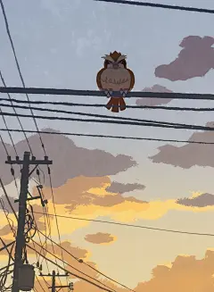 Pidgey
