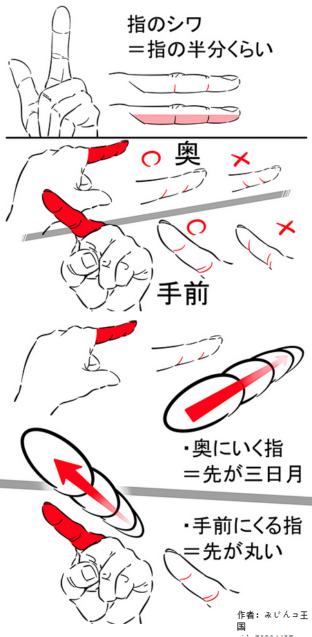 文章-手部关节画法参考 | 半次元-AC...