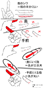 文章-手部关节画法参考 | 半次元-ACG同人创作&同好社群