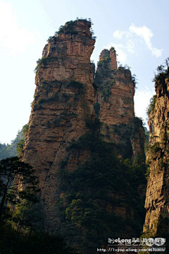 Zhaotongyuanyuan采集到张家界：放大的盆景，