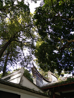 喂鱼喂采集到福州蓝·于山行