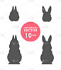 一组不同的兔子轮廓在白色的背景上。包括荷兰侏儒兔剪影和普通兔子剪影。——矢量