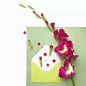 【乌克兰艺术家Anna Remarchuk的Envelope Series摄影作品】—— 花与信封的相遇，将生活的种种美好定格。