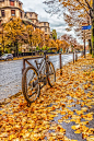 Late autumn fall of the leaves Paris by Valerii Tkachenko: 