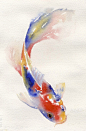 Koi   by Melissa J. Cox #采集大赛#