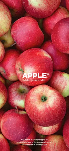 @G195潮流壁紙 的个人主页 - 微博