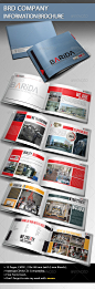 BRD Company Information Brochure企业公司简介手册画册模板素材-淘宝网