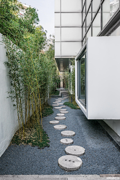 ZORA_苗采集到园路