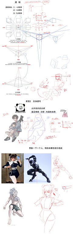 探息采集到人体透视