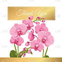 蝴蝶兰,兰花,花束,贺卡,黄金,花朵,枝,枝繁叶茂,花,谢谢
