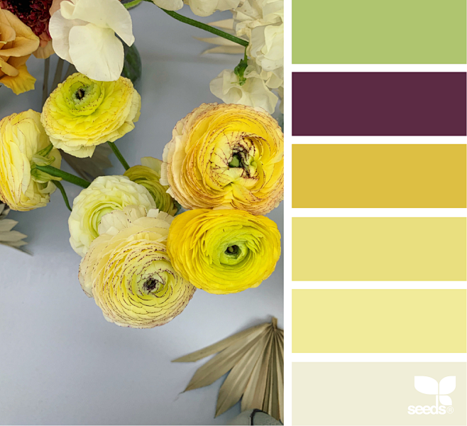 Flora Hues | Design ...