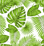 9个EPS 绿色 热带树叶 自然叶子框架 芭蕉叶 矢量图 设计素材-淘宝网