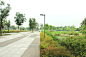 蘇州昆山蓮花湖公園整體規劃和設計