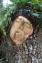 树木雕刻 雕塑艺术与自然的融合(2)