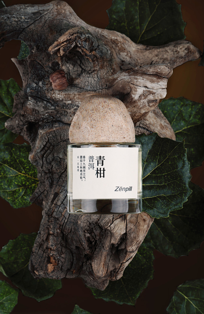 普洱青柑 (3)
