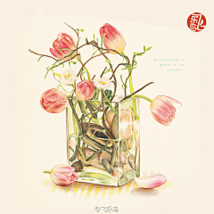 七年女采集到飞飞飞