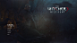 Witcher 3—UI & Gwint Redesigned : Redesign of Witcher 3 the game UI with focus on carefully crafted visual quality of details working in such complex system. And card game redesign motivated by its relation to the Sapkowski Witchers world, where such 