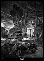 The  Exquisite Scratchboard  Art of  Nicolas Delort