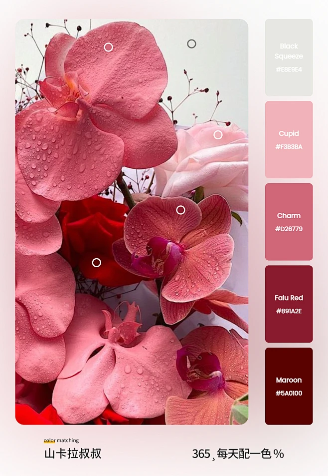配色-花瓣网