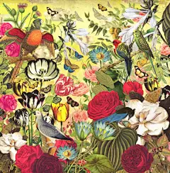 Eduardo Recife 华丽的商业广告插画欣赏 自然 广告插画 广告 奢侈品 商业插画 动物 