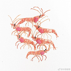 Nithreus采集到插画-美食