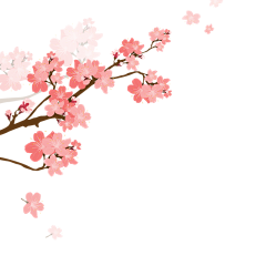 用户V0eMvbcC采集到花