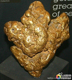 我虎口夺食采集到伟大