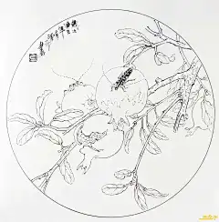 蔬果白描图稿四开本（61P）_当代工笔网 当代工笔人论坛 - Powered by Discuz!