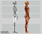 Anatomy For Sculptors - proportion calculator, store, services, video, links, blog