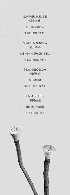 少年归采集到排版/字体