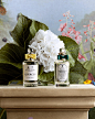 Photo by Penhaligon's on March 23, 2023. May be an image of fragrance.
