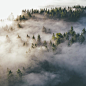 Nature Through the Lens of Dylan Furst