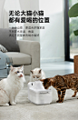 【立即抢购】有陪智能饮水机猫咪自动循环宠物饮水器喝水喂水器-tmall.com天猫