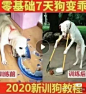 点击来源，关注公众号: 详情页