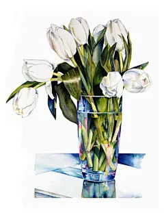 水彩画家 Sally Robertson ​ ​​​​