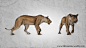 【　　　】一些熊跑的动画gif参考分享，希望能帮到大家更好理解动物的走跑 - POSE参考 - 微妙网 - wmiao.com