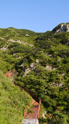 世界成了我的茧采集到登山步道、平台