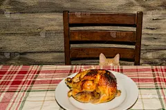 节日,晚餐,小猫,热,贺卡,食品,哺乳纲,猫科动物,动物,儿童
