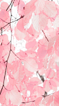 春@反正我就是好帅